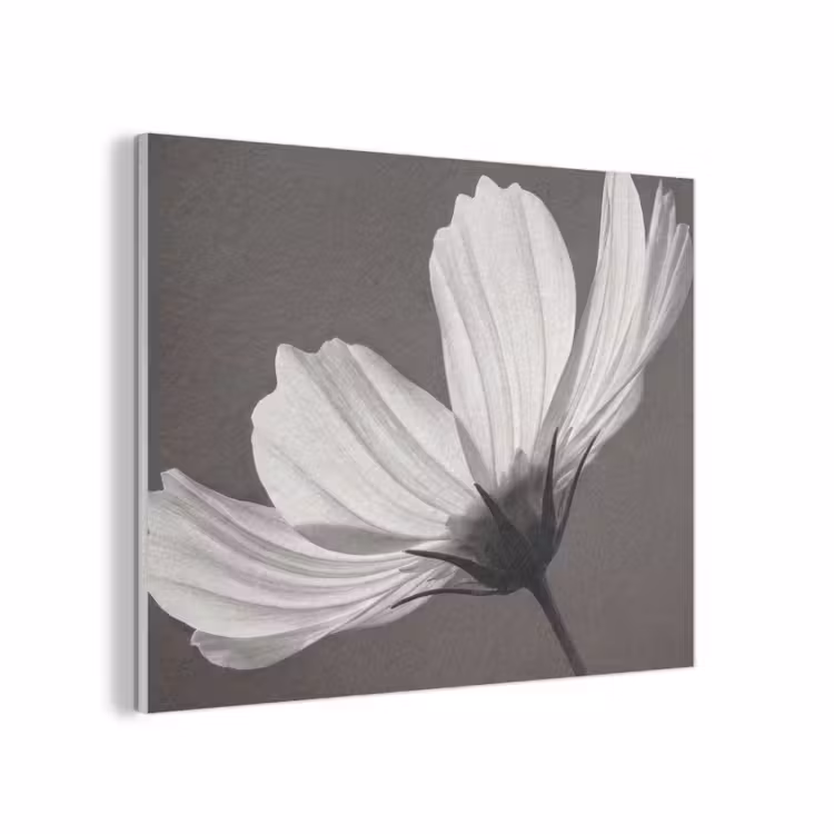 Bloem - Minimalistisch - Zwart - Wit PET vilt klein -3d