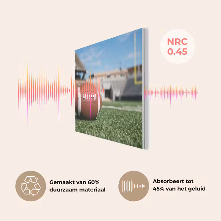 Football - Veld - Stadion - Sport PET vilt klein -USP_NL