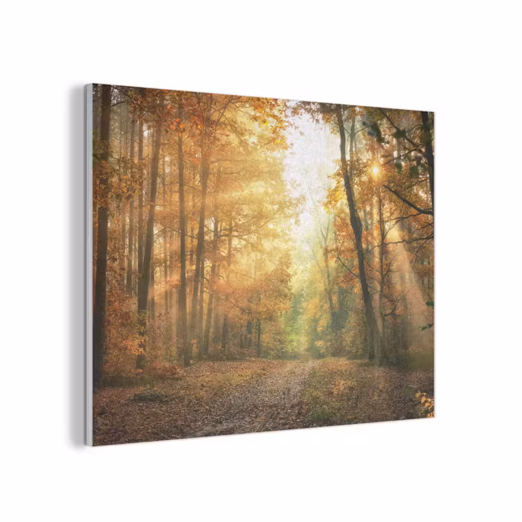 Bos - Herfst - Zon - Landschap - Natuur - Bomen - Bladeren PET vilt klein -3d