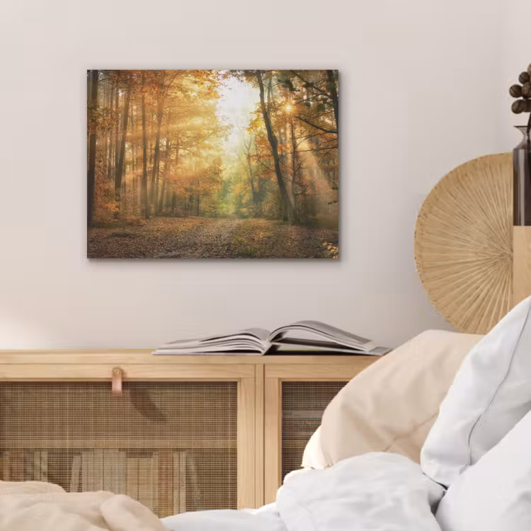 Bos - Herfst - Zon - Landschap - Natuur - Bomen - Bladeren PET vilt klein -sfeer3