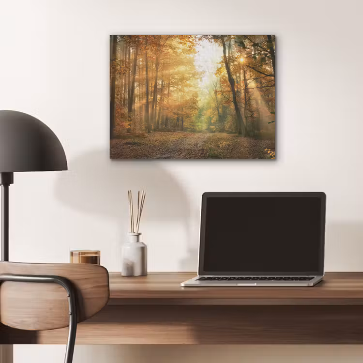 Bos - Herfst - Zon - Landschap - Natuur - Bomen - Bladeren PET vilt klein -sfeer5