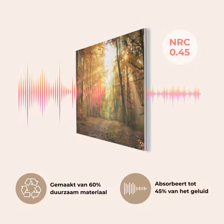 Bos - Herfst - Zon - Landschap - Natuur - Bomen - Bladeren PET vilt klein -USP_NL