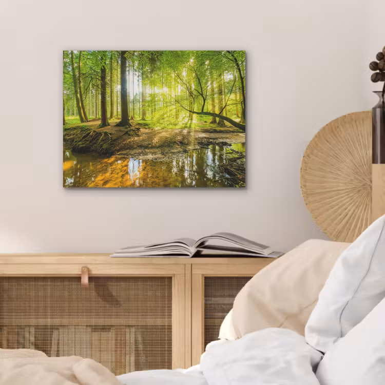 Bos - Landschap - Water - Bomen - Zon - Groen - Natuur PET vilt klein -sfeer3