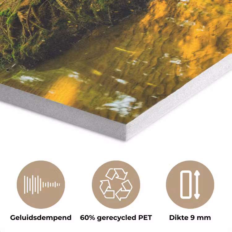 Bos - Landschap - Water - Bomen - Zon - Groen - Natuur PET vilt klein -closeup_NL