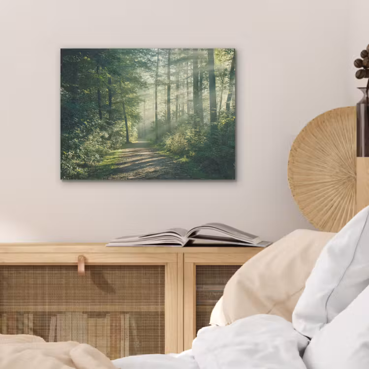 Bos - Pad - Zon - Bomen - Groen - Natuur PET vilt klein -sfeer3