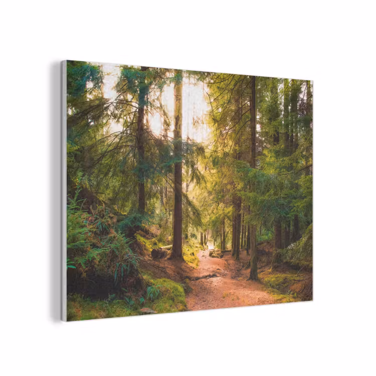 Bos - Pad - Bomen - Groen - Zon - Natuur PET vilt klein -3d
