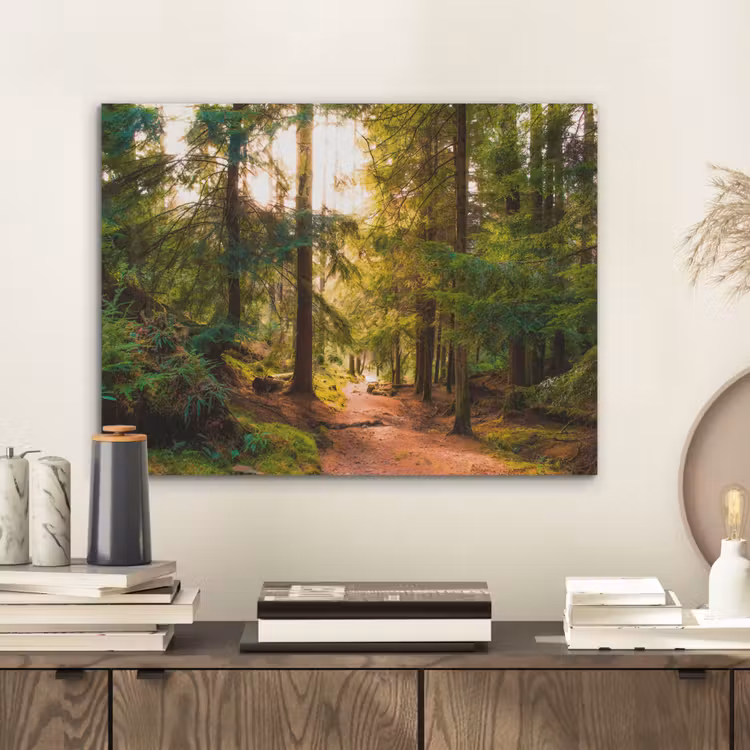 Bos - Pad - Bomen - Groen - Zon - Natuur PET vilt klein -sfeer1