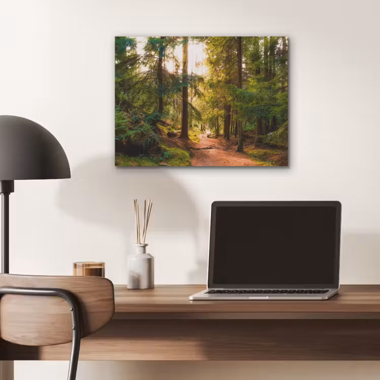 Bos - Pad - Bomen - Groen - Zon - Natuur PET vilt klein -sfeer5