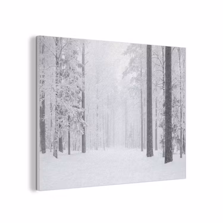 Bos - Sneeuw - Pad - Winter - Stilte PET vilt klein -3d