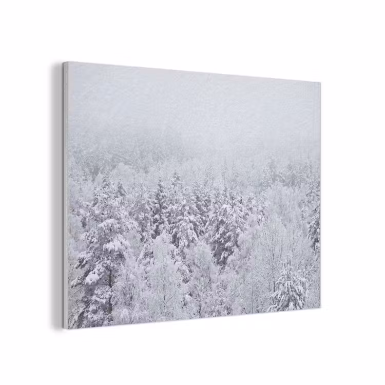 Bos - Sneeuw - Winter - Natuur - Wit PET vilt klein -3d