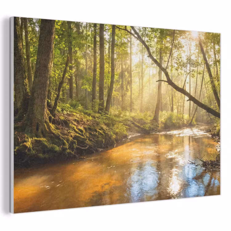 Bos - Beek - Zonlicht - Natuur - Groen PET vilt klein -3d