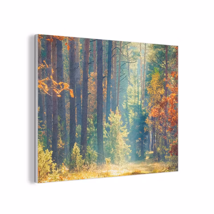 Bos - Zon - Natuur - Herfst PET vilt klein -3d