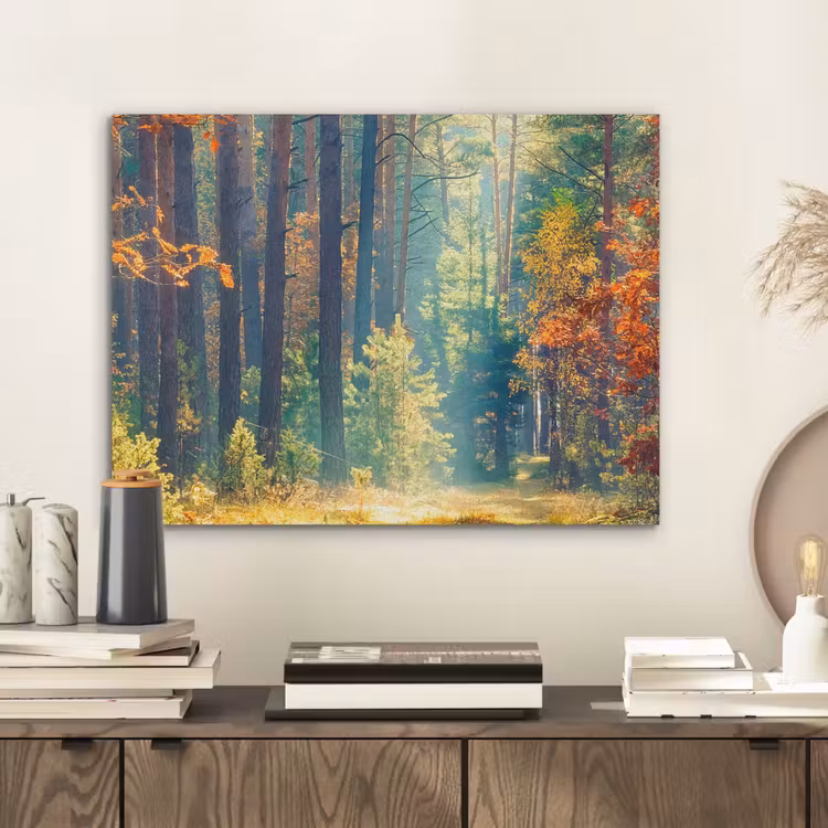 Bos - Zon - Natuur - Herfst PET vilt klein -sfeer1