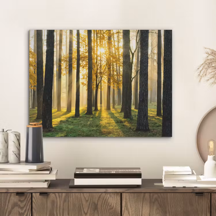 Bos - Zon - Bomen - Gras - Landschap  - Natuur PET vilt klein -sfeer1