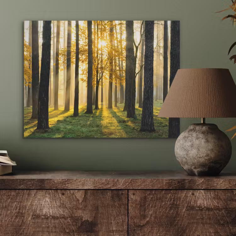 Bos - Zon - Bomen - Gras - Landschap  - Natuur PET vilt klein -sfeer2