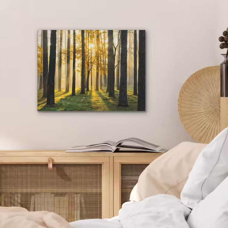 Bos - Zon - Bomen - Gras - Landschap  - Natuur PET vilt klein -sfeer3
