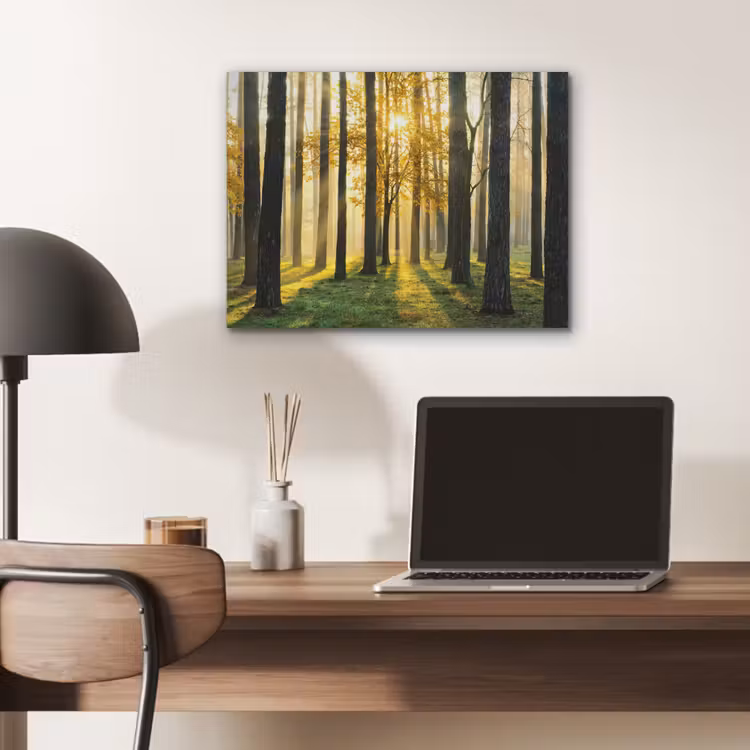 Bos - Zon - Bomen - Gras - Landschap  - Natuur PET vilt klein -sfeer5
