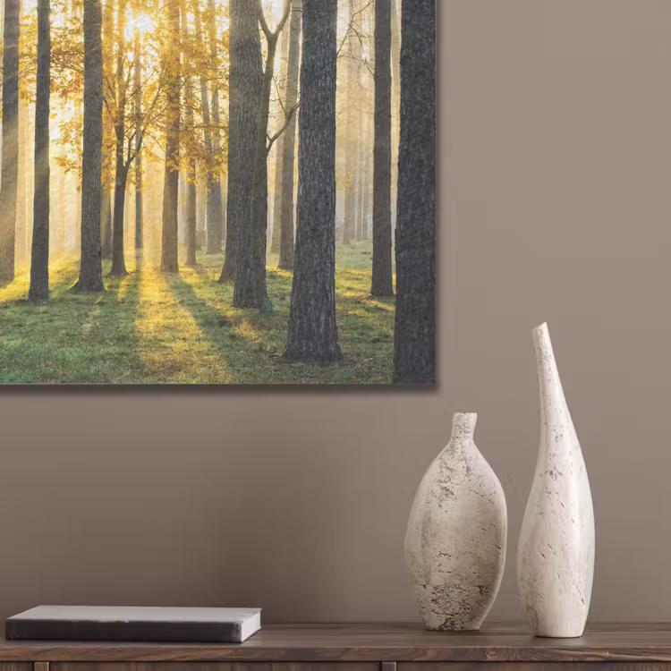 Bos - Zon - Bomen - Gras - Landschap  - Natuur PET vilt klein -sfeer6_closeup