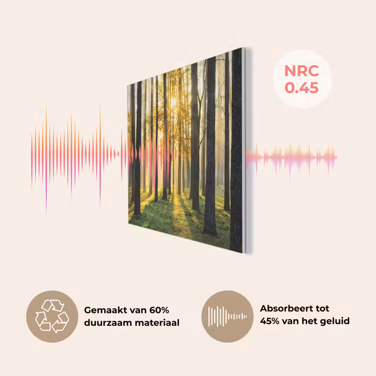 Bos - Zon - Bomen - Gras - Landschap  - Natuur PET vilt klein -USP_NL
