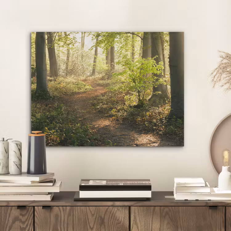 Bos - Bomen - Pad - Zon - Planten - Bladeren - Natuur PET vilt klein -sfeer1