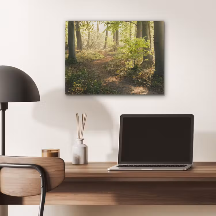 Bos - Bomen - Pad - Zon - Planten - Bladeren - Natuur PET vilt klein -sfeer5