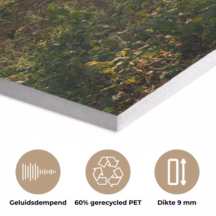 Bos - Bomen - Pad - Zon - Planten - Bladeren - Natuur PET vilt klein -closeup_NL