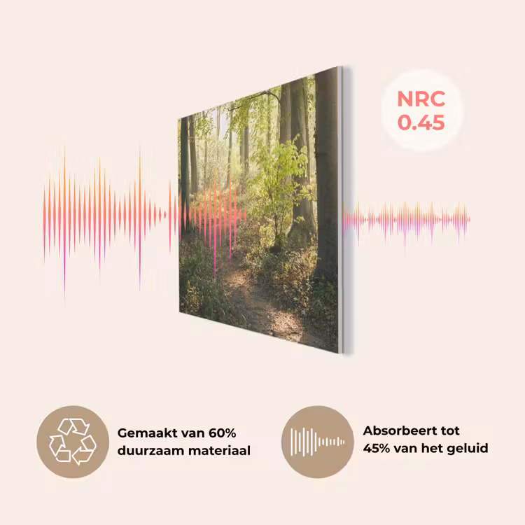 Bos - Bomen - Pad - Zon - Planten - Bladeren - Natuur PET vilt klein -USP_NL