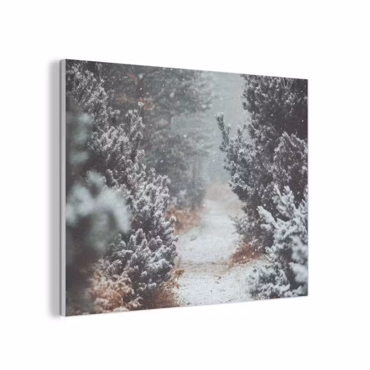Bos - Winter - Bomen - Natuur - Pad - Sneeuw PET vilt klein -3d