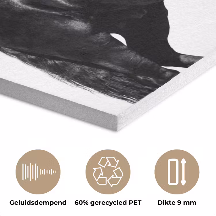 Fries - Hengst - Modern PET vilt klein -closeup_NL