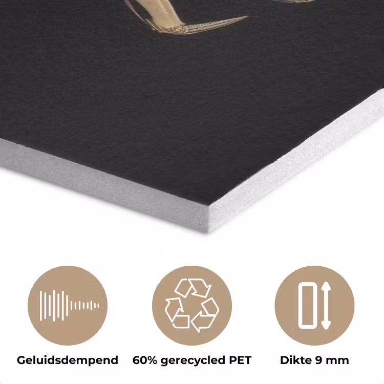 Goud - Krab - Dieren - Zwart PET vilt klein -closeup_NL