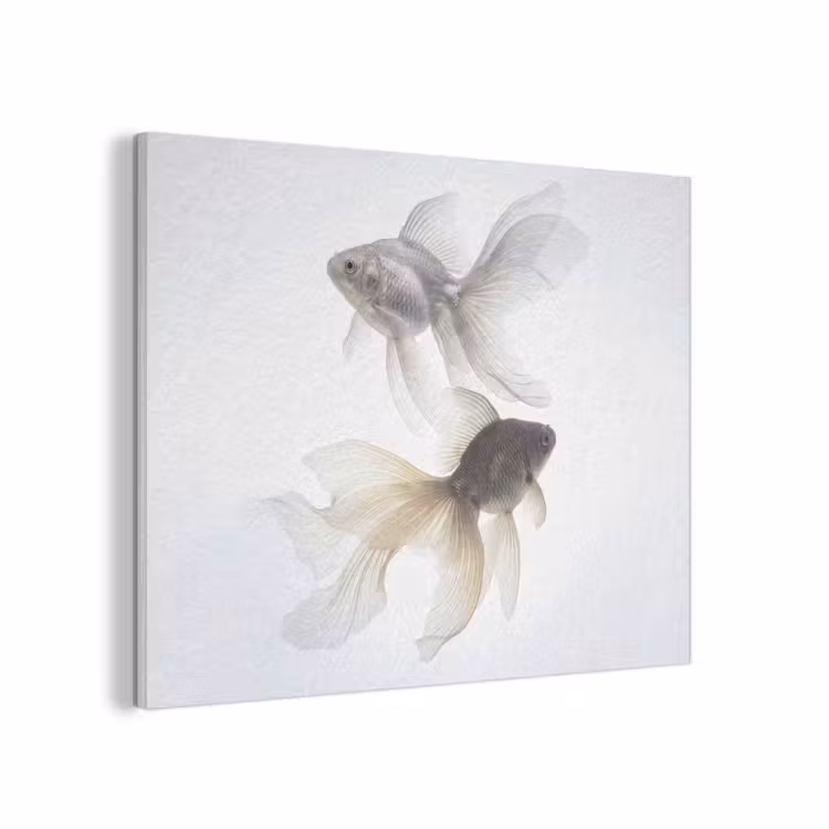 Goudvissen - Modern - Wit PET vilt klein -3d