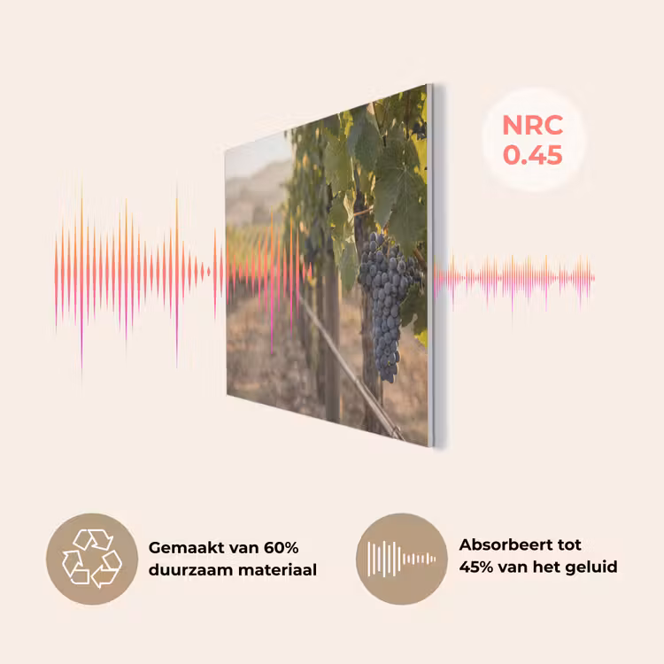 Druiven - Wijngaard - Zonlicht PET vilt klein -USP_NL