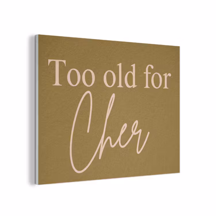 Groen - Too old for cher - Roze PET vilt klein -3d