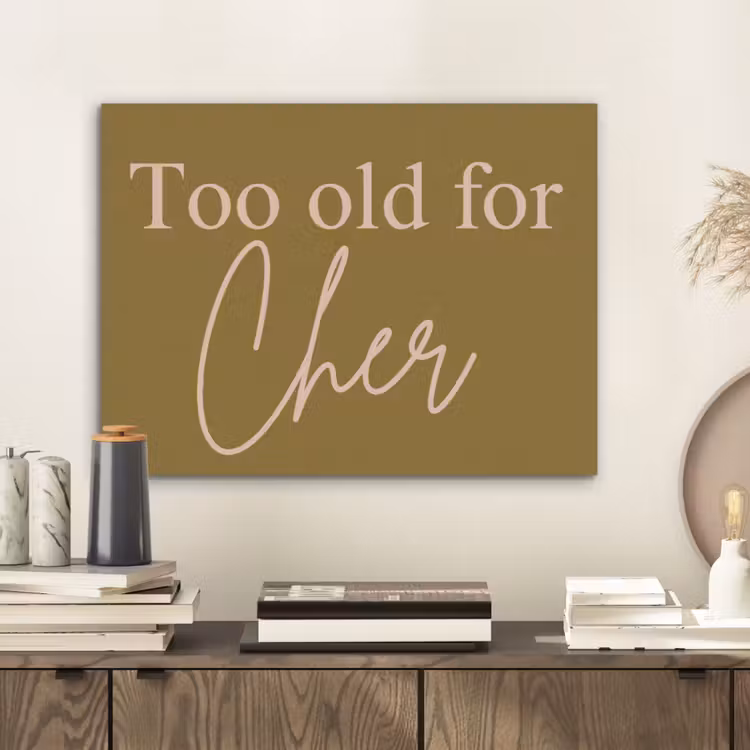 Groen - Too old for cher - Roze PET vilt klein -sfeer1