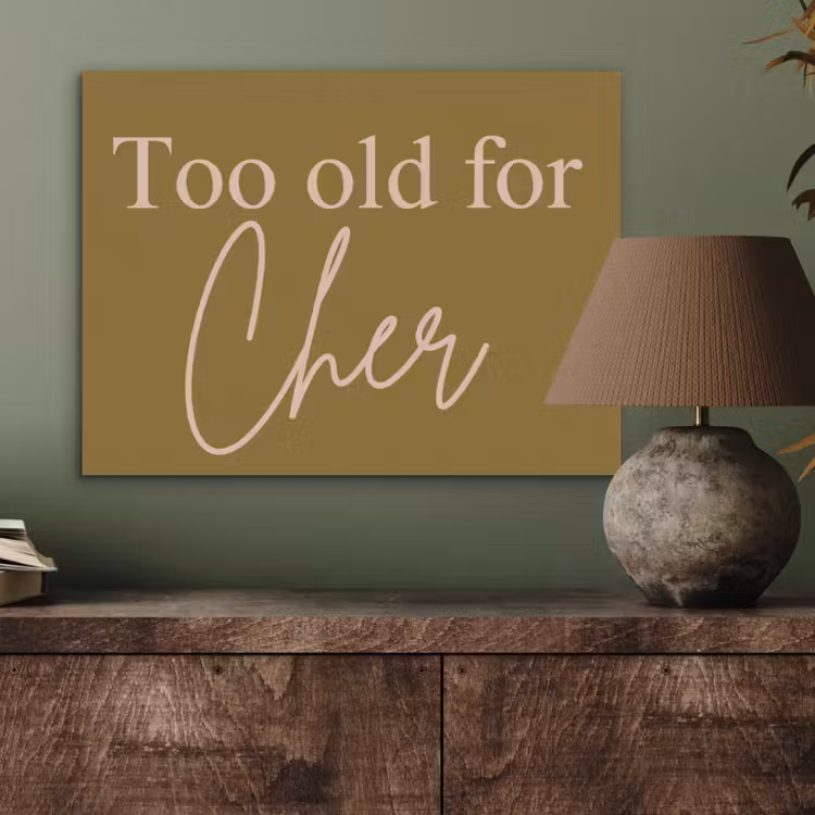 Groen - Too old for cher - Roze PET vilt klein -sfeer2