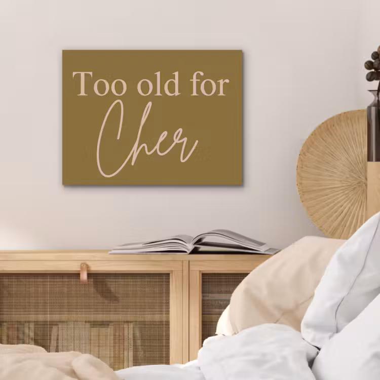 Groen - Too old for cher - Roze PET vilt klein -sfeer3
