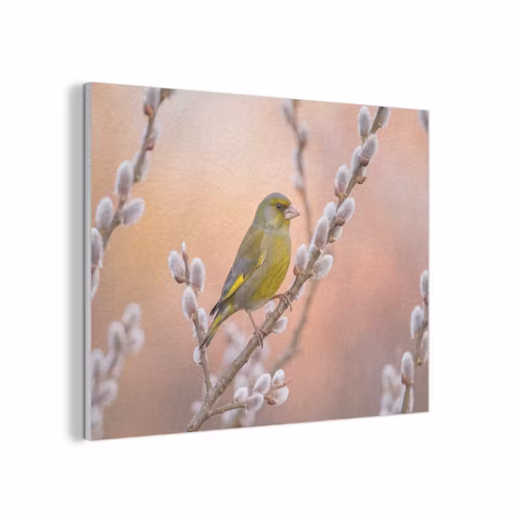 Groenling - Katjes - Lente - Natuur - Zacht PET vilt klein -3d