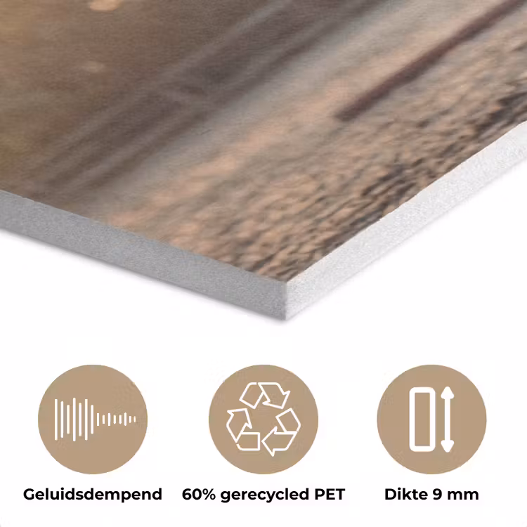 Harmonie - Ruiter - Zon PET vilt klein -closeup_NL