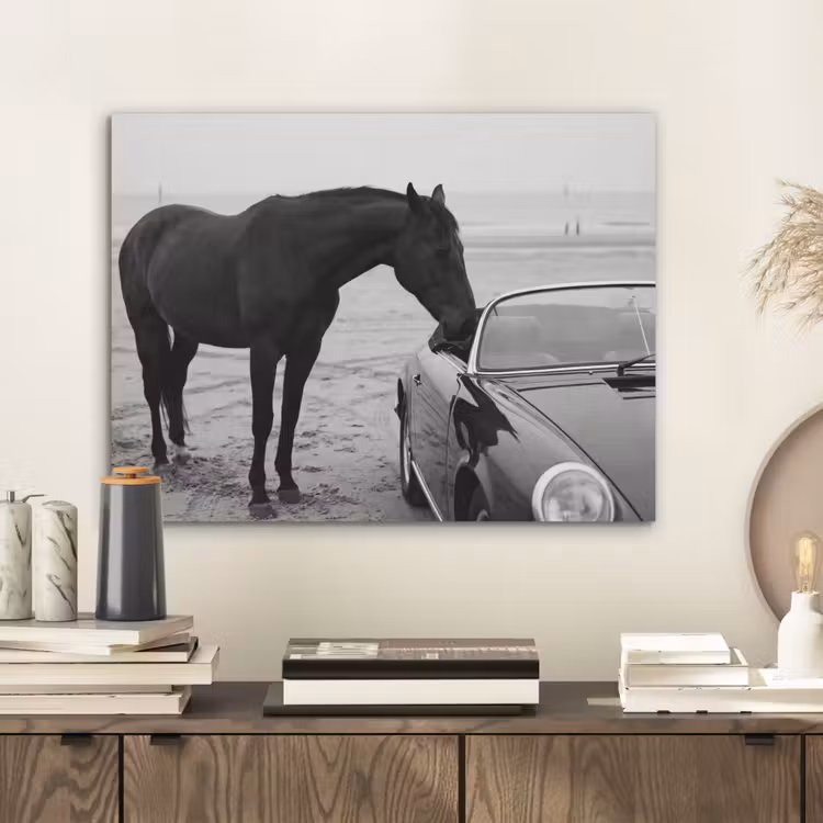 Paard - Auto - Zwart - Wit PET vilt klein -sfeer1