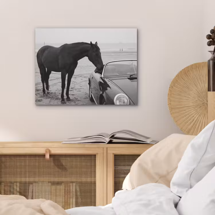 Paard - Auto - Zwart - Wit PET vilt klein -sfeer3