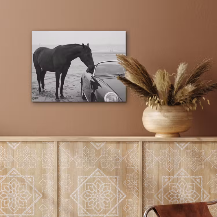 Paard - Auto - Zwart - Wit PET vilt klein -sfeer4