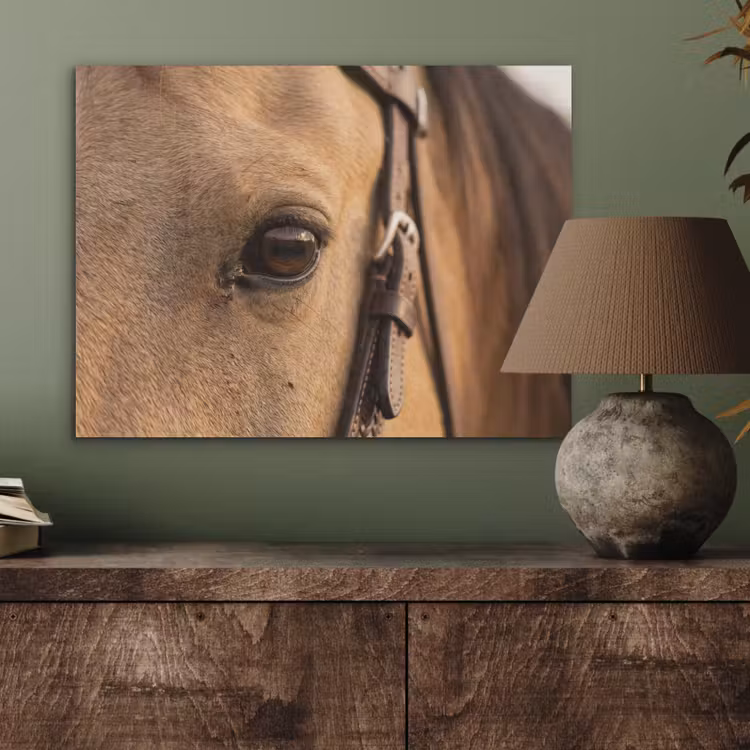 Paard - Oog - Bruin PET vilt klein -sfeer2