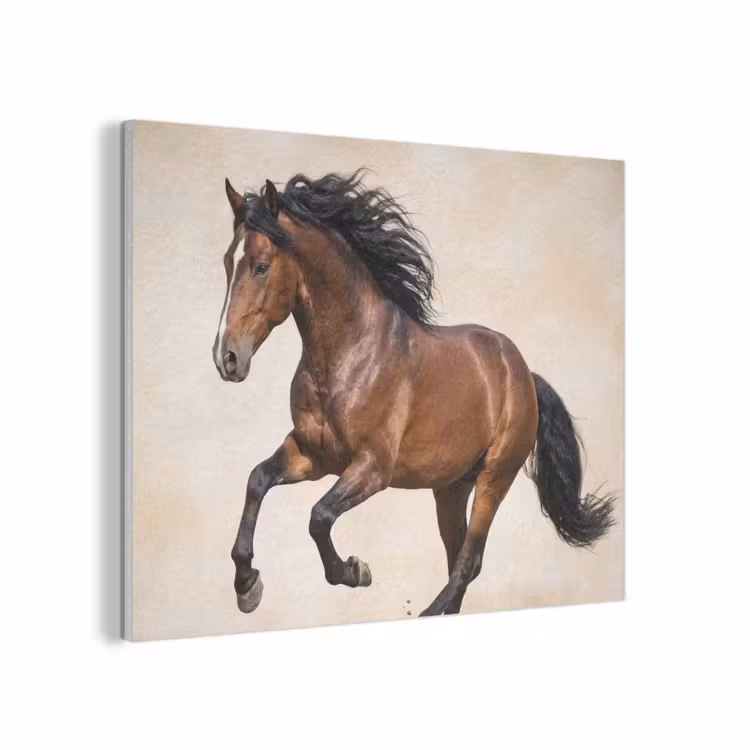 Paard - Galop - Energie PET vilt klein -3d