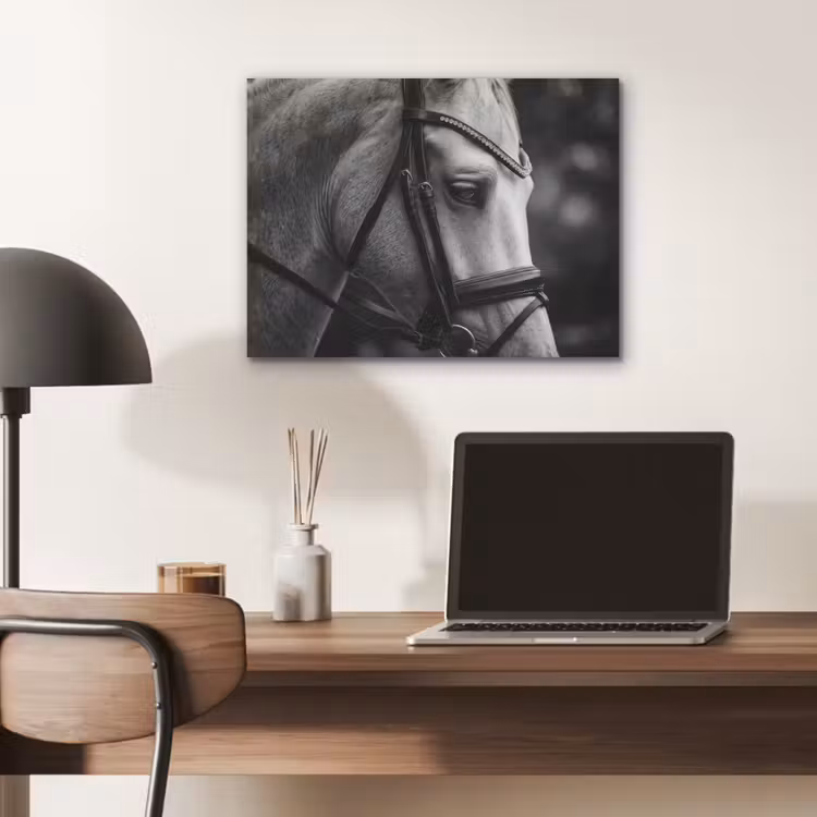 Paard - Schimmel - Portret PET vilt klein -sfeer5