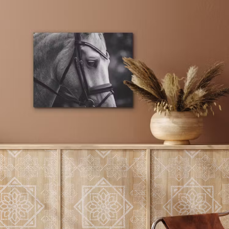 Paard - Schimmel - Portret PET vilt klein -sfeer4