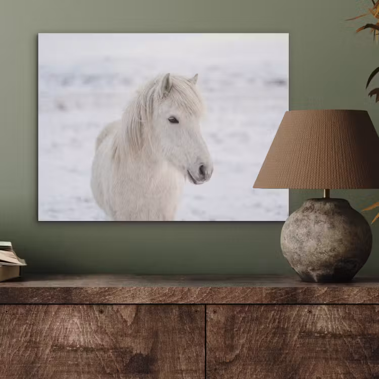 Paard - Kop - Winter - Dieren - Wit PET vilt klein -sfeer2