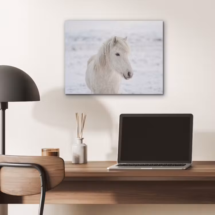 Paard - Kop - Winter - Dieren - Wit PET vilt klein -sfeer5