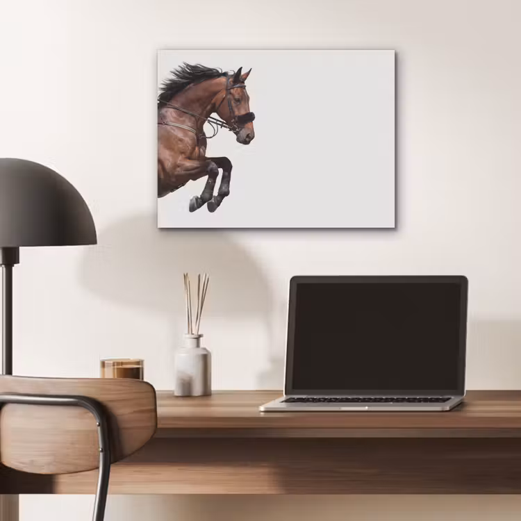 Paard - Springen - Modern PET vilt klein -sfeer5