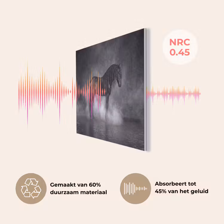 Paard - Magisch - Zwart PET vilt klein -USP_NL