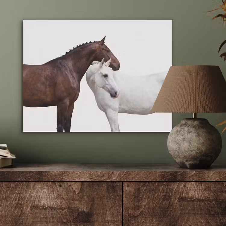 Paard - Modern - Balans PET vilt klein -sfeer2